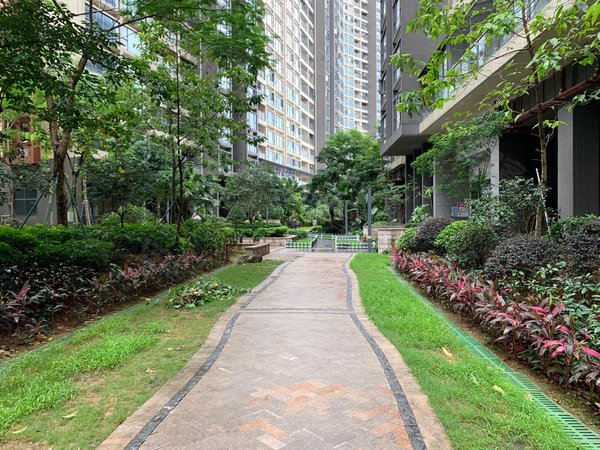 【多图】百丽名苑,观澜租房,急租!