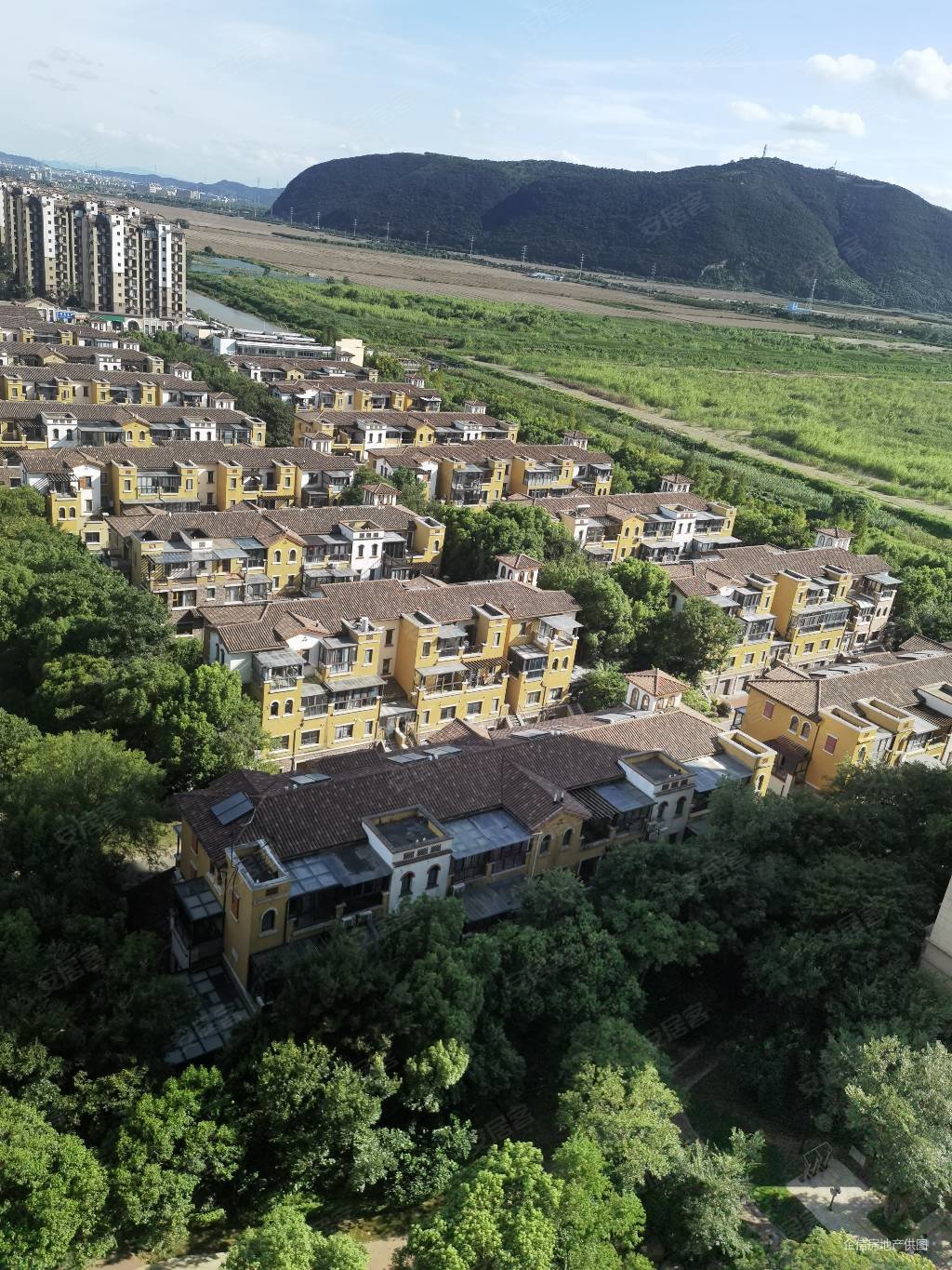 龙湖香醍漫步3室2厅1卫101.52㎡南88万