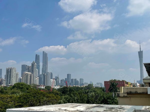 【多图】新世界棕榈园(别墅),二沙岛租房,二沙岛棕榈园上叠,带100方