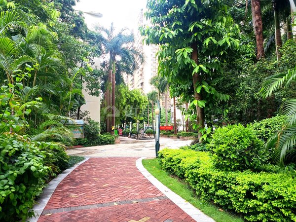 【多图】保利21世家,东盟商务租房,整租 精装 电梯房 保利21世家 押二