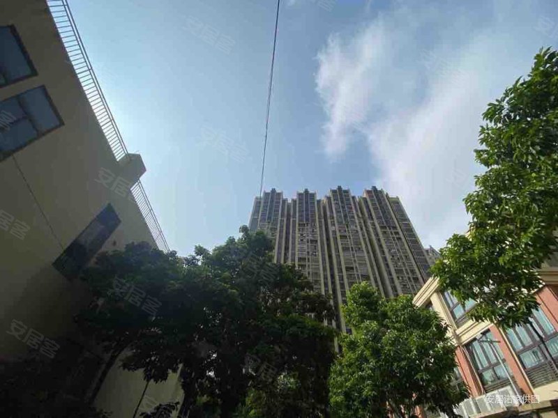 金辉华府 商业配套成熟 有电梯 医疗配套成熟 满五   朝南