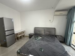 蚌埠蚌山新城区跨境电商，新二中，新二院旁，佳源公寓精装1室，随时看房出租房源真实图片