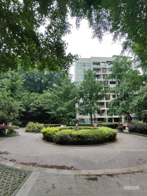 必看特价房,钱塘玫瑰湾,地铁房,精装大两房,拎包入住.