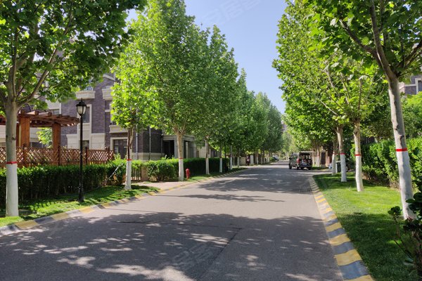 天津小区 武清小区 大王古庄镇小区 凤河孔雀城