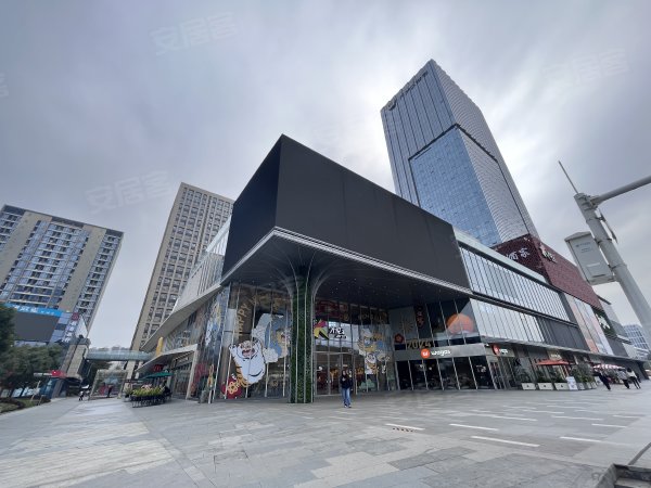 广州黄埔科学城绿地中央广场绿地中央广场 精装复试两房一厅公寓 南向