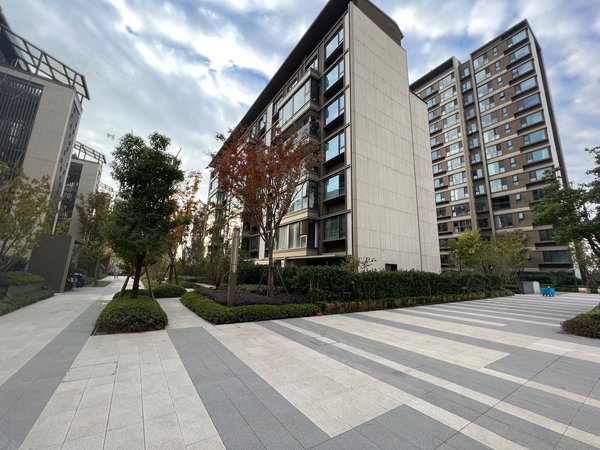 上海闵行诸翟香港置地虹庐湾虹庐湾中叠出租,家具家电齐全,看房方便