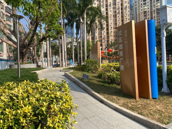 深圳福田莲花村莲花一村美莲大厦两房租金优惠,安静,居居特别舒适!