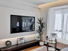 花果园国际中心精装两室 带大电视机 带空调 家具家电齐全