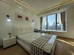 合肥政务荷叶地天鹅湖 万象城 安粮唯品会 融创信达政务壹号 精装一室 定制出租房源真实图片