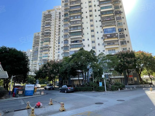 厦门集美孙坂路兑山里小区兑山里小区 电梯房 租金800元 免物业宽带