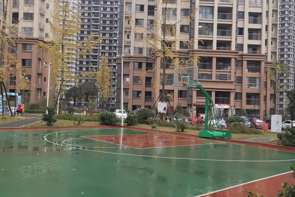 塞纳国际,天池路1号-宜宾塞纳国际二手房,租房-宜宾安居客