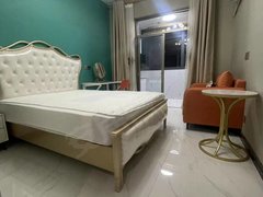绍兴柯桥柯桥金地商圈 精装一房 付款灵活 停车方便 拎包入住 交通便利出租房源真实图片