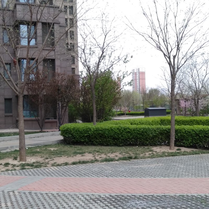 【龙峰嘉园, 龙峰嘉园小区详情,房价走势,房源,业主论坛】- 天津58