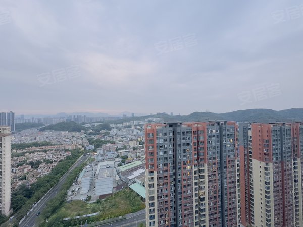 深圳龙岗龙城国际清林半山花园视野无挡全新空房出租万科物业新小区