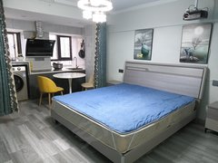 宜宾叙州南岸西区公馆叁号精英寓所匠心独造一居室，全能配置，定义精致独居出租房源真实图片