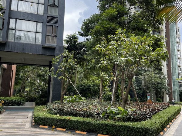 【多图】龙华花半里,清湖租房,花半里三房两卫,南向安静,楼层佳,采光
