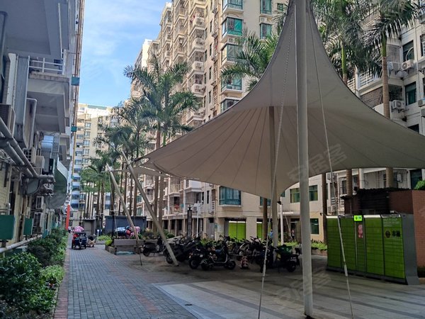 深圳龙华梅林关口鑫海公寓(龙华)白石龙,鑫海一房一厅特价3150,真实