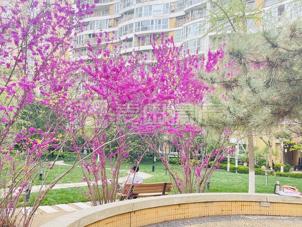 广安门外租房,1室1厅 朗琴园 企业力荐诚意出租,西城租房-北京58安居