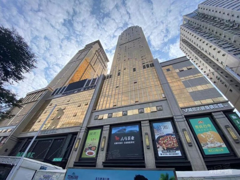 法拍房罗湖深南广场起拍价298万拿下 仅需契税 7月26号终