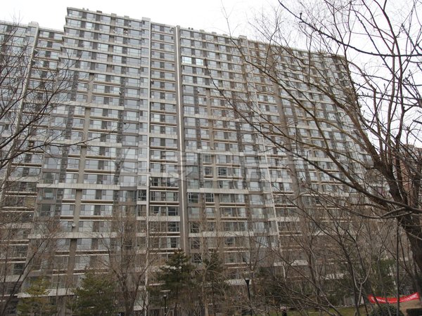 北京朝阳双井富力城(d区)1室1厅  富力城(d区)出租房源真实图片