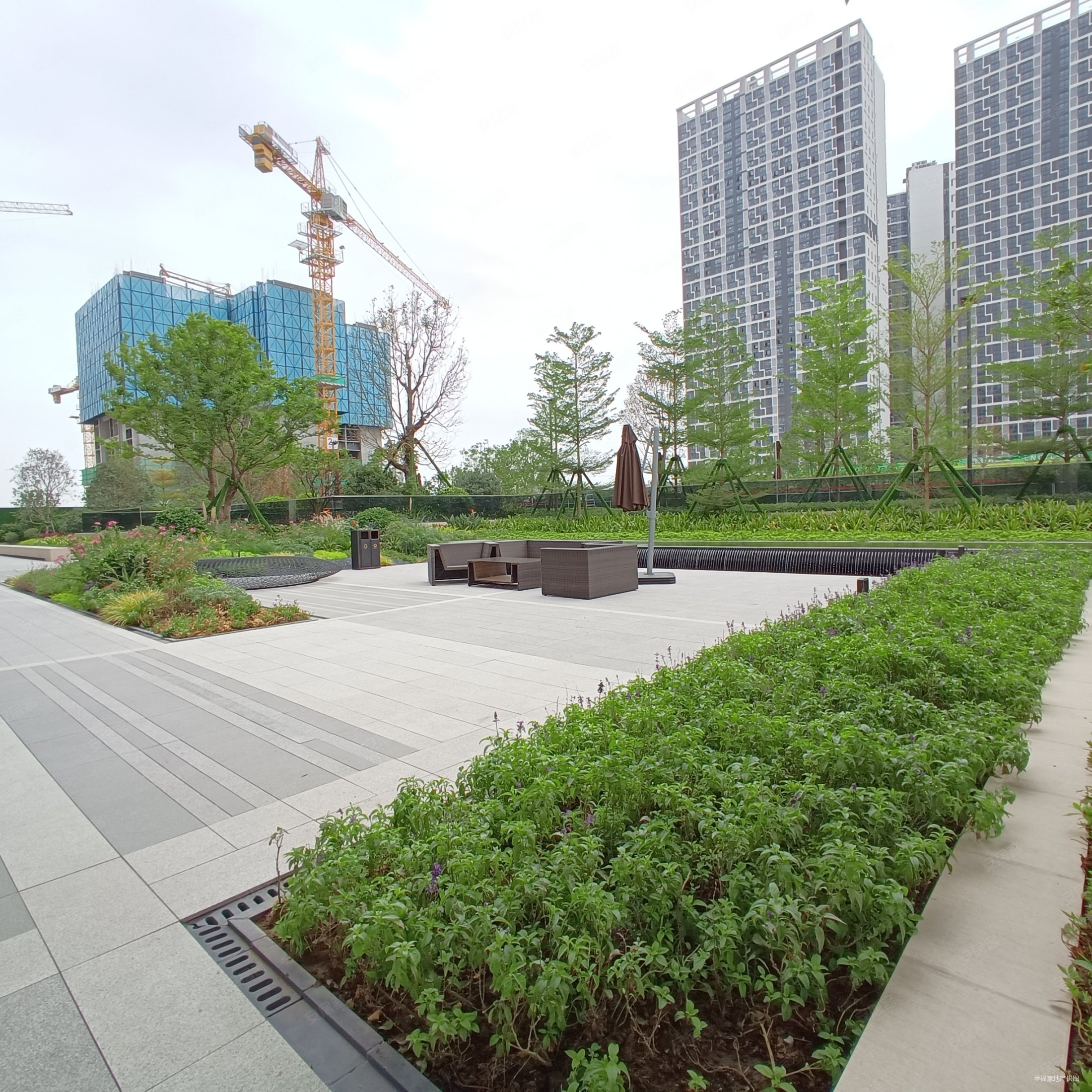 时代印记地铁3号线荔村站 伦教中学对面 不需条件 户型环境靓