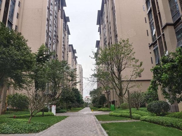 万达茂旁 万科金域滨江 精装配齐大四房 实图 价格可谈,邕宁租房-南宁