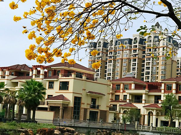 佛山顺德大良西区康格斯花园康格斯纯南向看花园116方,3房2卫 租2200