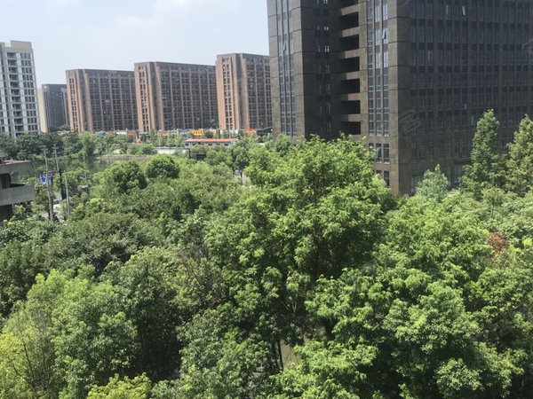 杭州上城丁桥阳光城翡丽湾同协地铁口阳光城翡丽湾精装三房出租,房东