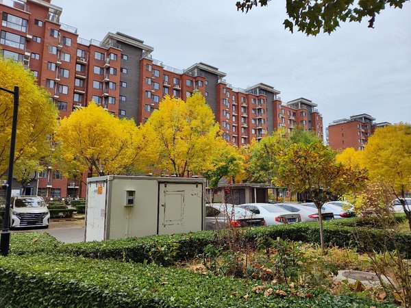 【多图】柳浪家园南里,马连洼租房,柳浪家园 精装一居室 近上地嘉华