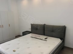 吉安吉州沿江路市中心广场旁天都公馆,一房一厅家具家电齐全,拎包入住出租房源真实图片