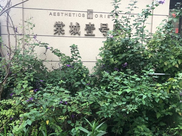 【多图】棠城壹号院,永川周边租房,棠城壹号院 3室2厅2卫,永川租房