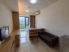 东莞莞城莞城中心地铁口，市民中心附近小公寓1100拎包入住出租房源真实图片