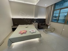 海口美兰白龙文明中路青年路白龙酒店潮立方板桥海鲜市场精装修电梯房拎包入住出租房源真实图片