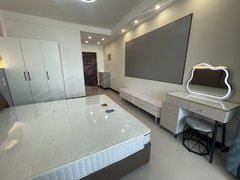 保定莲池河北小学那约文化大厦 紧邻四通 三中 出租 精装一室出租房源真实图片