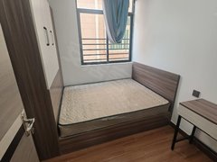 深圳宝安固戍海滨新村(固戍) 通风好 拎包入住 电梯房出租房源真实图片