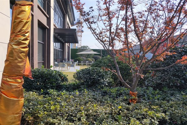 徐州小区 睢宁小区 睢宁城区小区 中南樾府