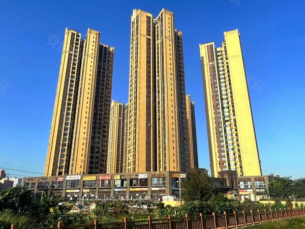 深圳龙华观澜阳基御龙山笋盘!