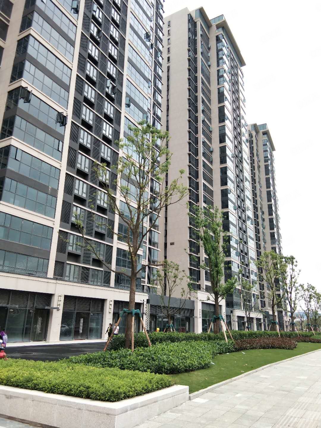 保利香槟公馆3室 88万入读三小 南安一中 单价9千看房随时