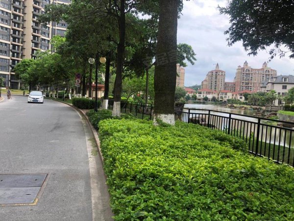 佛山顺德大良西区康格斯花园康格斯精装三房两厅两卫,阳台向南,118方