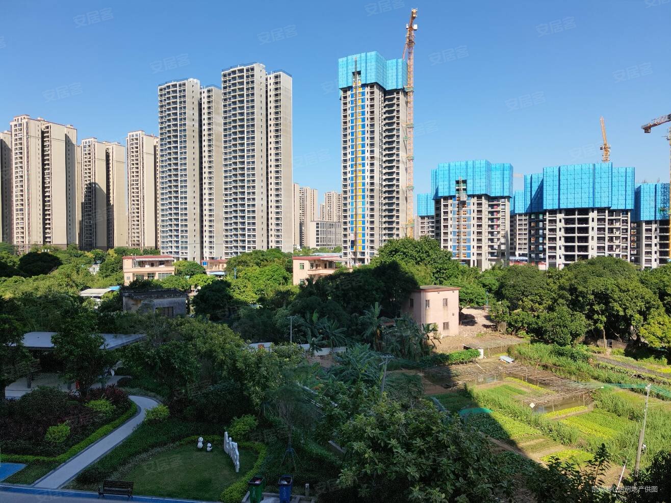 碧桂园凤凰湾凤怡苑