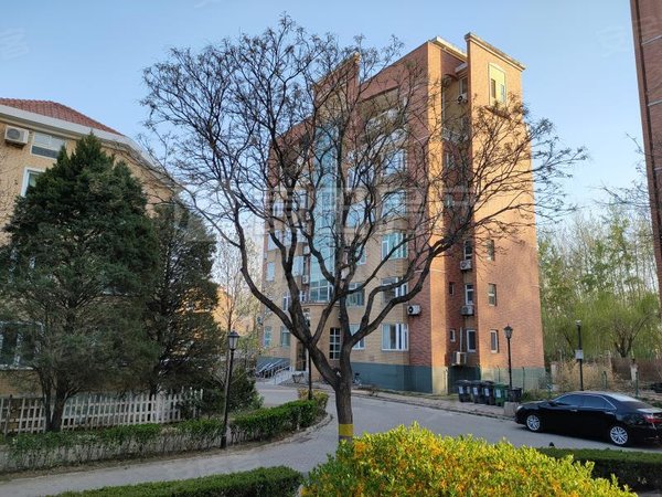 北京顺义中央别墅区名都园名都园洋房 精装修1室1厅 半地上一层 位置