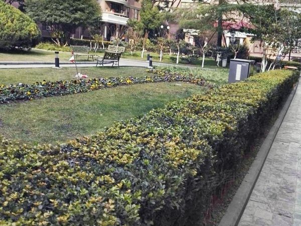 上海长宁西郊公园君悦花园外销房 地铁口 君悦花园 人车分流 豪华装修