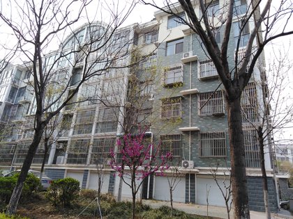 二中白马石宿舍,环山路 - 泰安二中白马石宿舍二手房,租房,房价-泰安