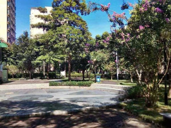 【多图】心怡花园,布心租房,心怡花园近地铁口大三房南北通随时入住