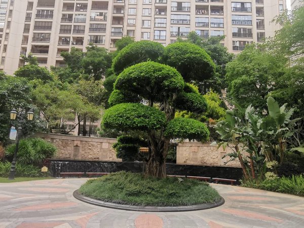 泉州洛江万安街道三盛四季公园(一期)三盛一期简装大4房出租2600,可