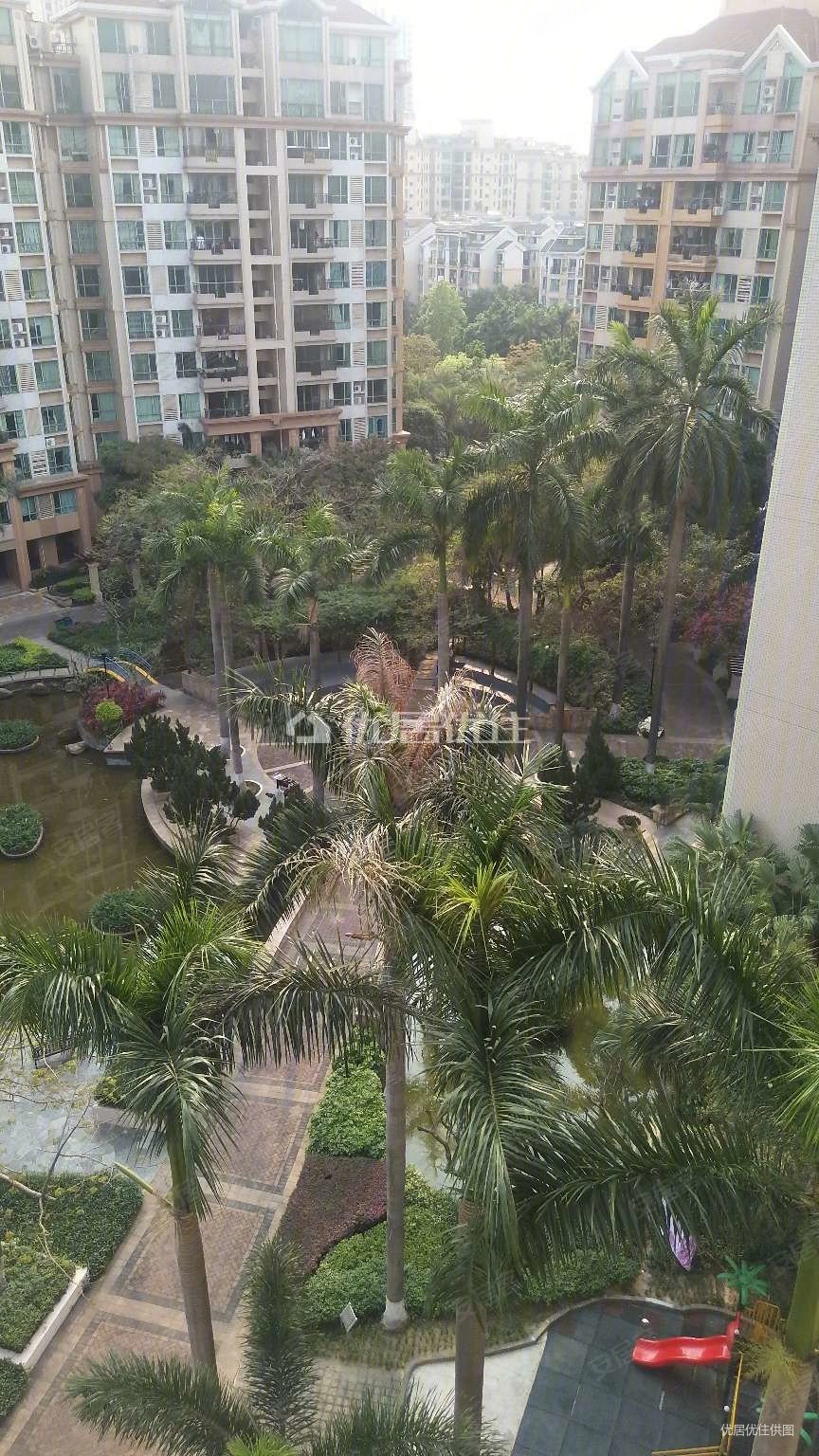 盐步雅居乐雍景豪园景裕嘉园帝景台舒享三房中楼层南向望花园急售