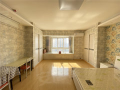 金科米兰尔家公寓 1室1厅1卫  电梯房 精装修60平米