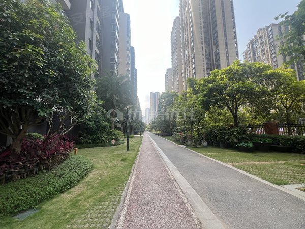 【多图】彰泰城a区,五象大道租房,精装修户型方正采光好南北通透,良庆