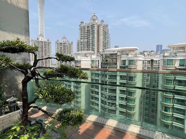 广州海珠广州塔珠江帝景苑珠江帝景顶层复式出租 带天台私人花园 望