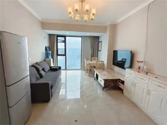 眉山东坡万达广场万达旁 东坡学校对面 金色春天 电梯套二 带2台空调 精装修出租房源真实图片